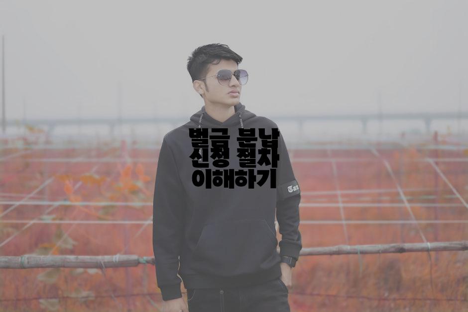 벌금 분납 신청 절차 이해하기