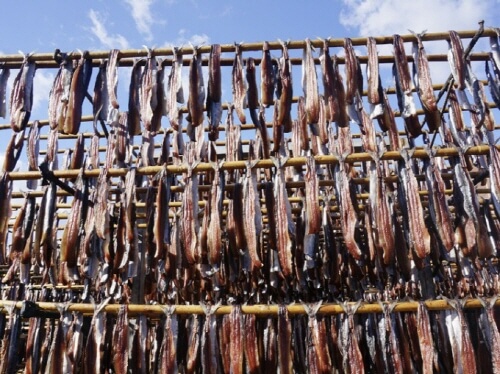  청어 꽁치 과메기 종류 차이점 맛 식감 가격 효능 부작용