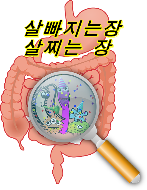  '살짜지기 쉽다' or '살빠지기 어려운' 체질을 나누는 것은 장에 있다!?