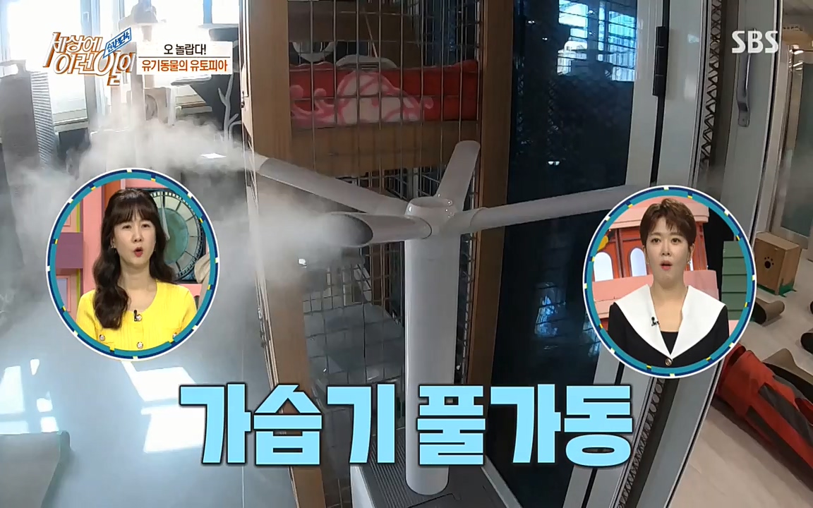 순간포착 세상에 이런일이.E1171.220316p-NEXT.mp4_20220316_185011.793.jpg