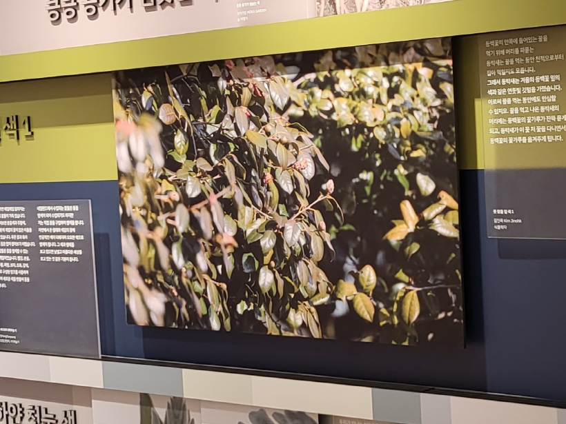 생각 생착률도 해보고 12