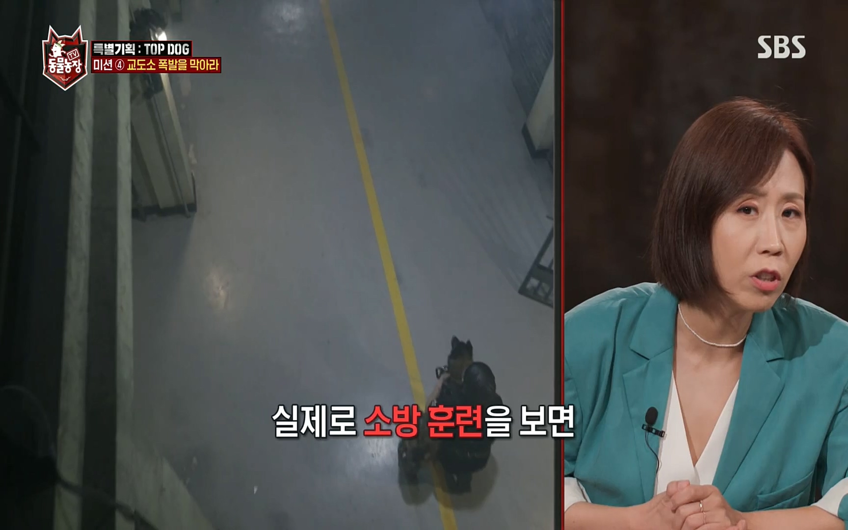 TV 동물농장.E1086.220911p.H264-F1RST.mp4_20220911_175419.169.jpg