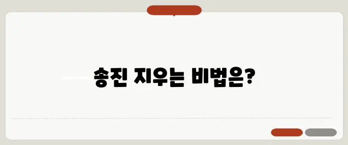 송진 지우는법 흔적 없이 제거