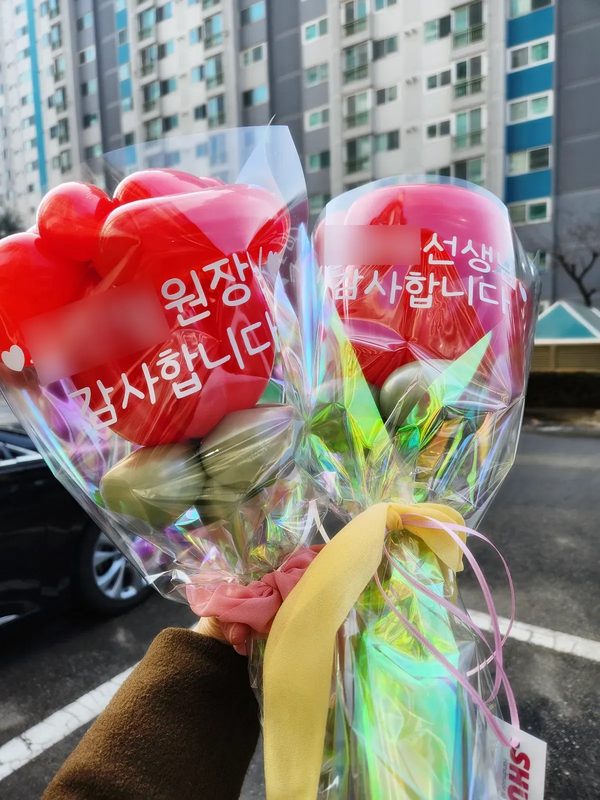 꽃풍선-두송이