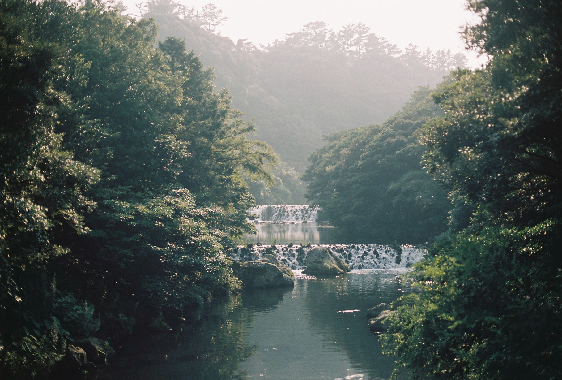  Jeju island - CANON Ae-1