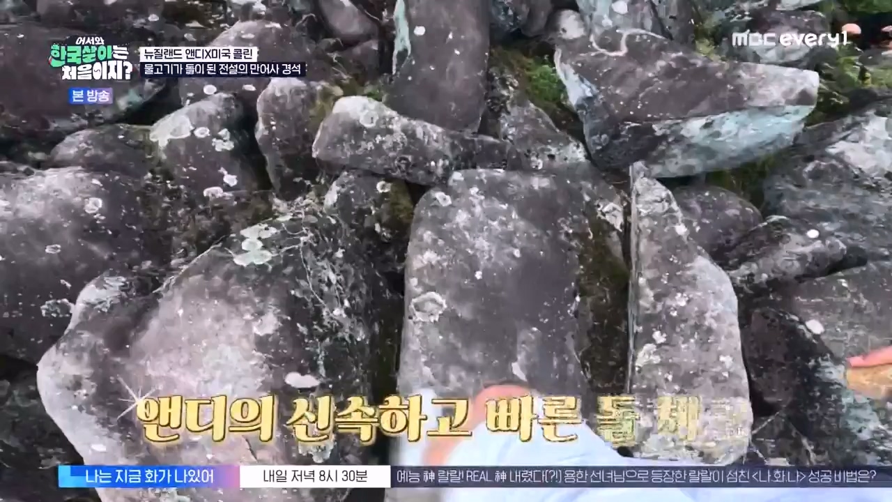 어서와 한국살이는 처음이지.E20.231003p-NEXT.mp4_20231004_202503.894.jpg