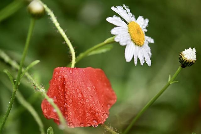 blog-image