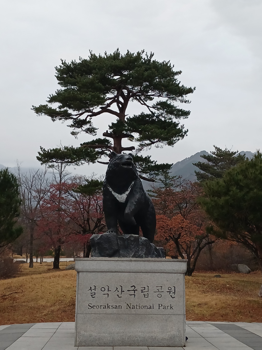  고성쪽 설악산국립공원이라면 권금성케이블카를 타보셨나요?