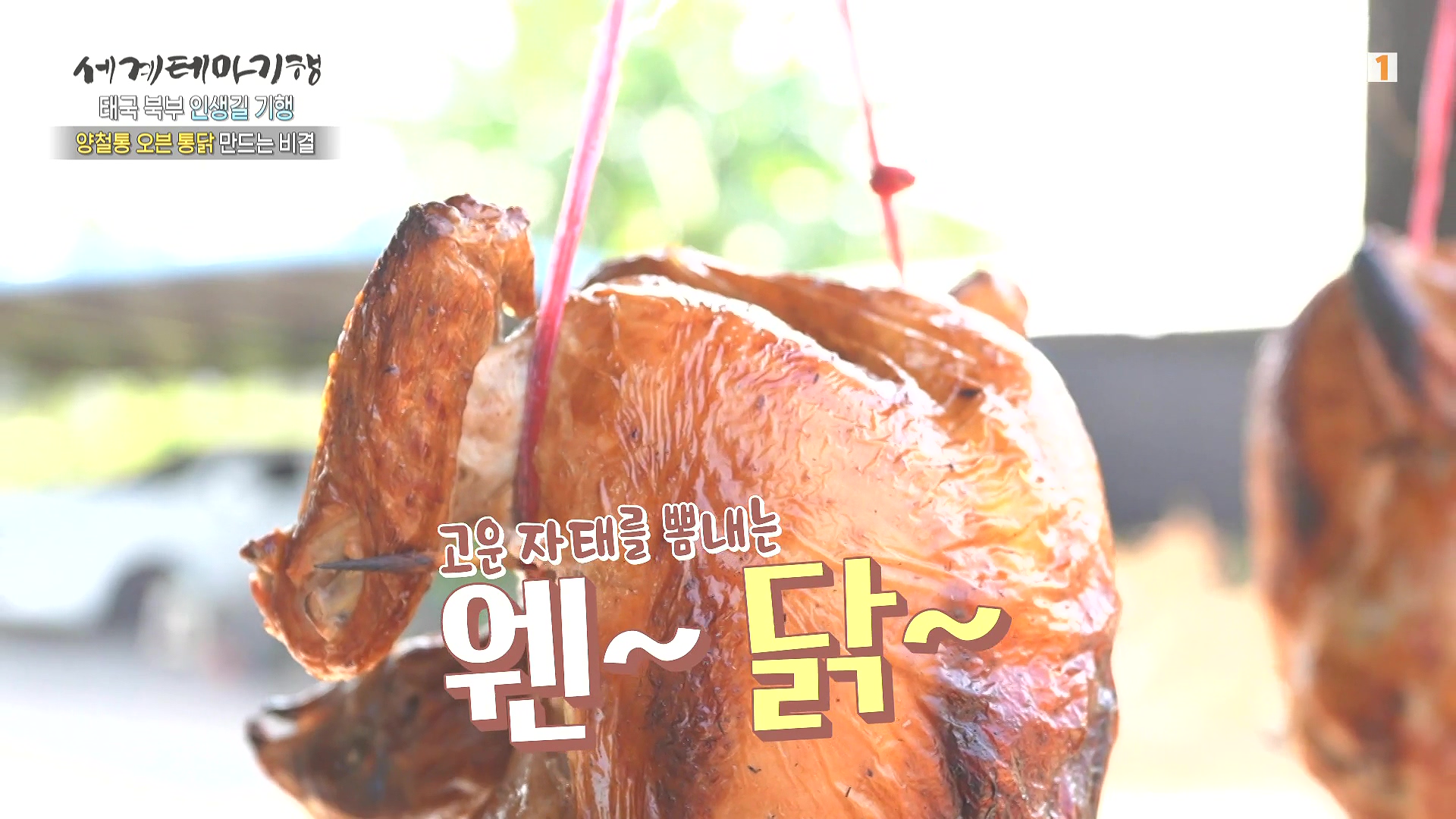 세계테마기행.240221.태국 북부 인생길 기행 3부. 인생 맛, 손맛0P.mp4_20240806_202300.567.jpg