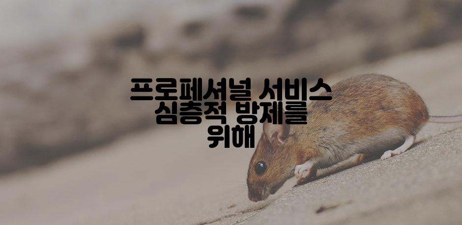프로페셔널 서비스 심층적 방제를 위해