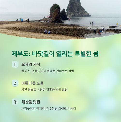 6월 서해안 인기 여행지 추천 BEST 6