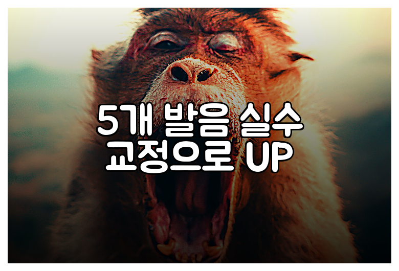 5개 발음 실수 교정으로 UP