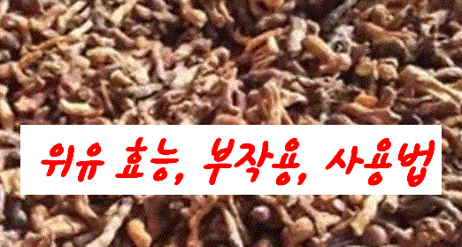  위유 효능, 부작용, 사용법
