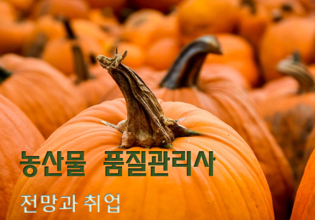  농산물품질관리사 전망과 취업현실