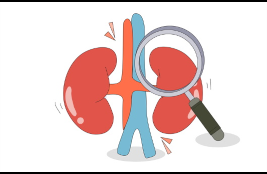 신장이 안좋으면 나타나는 증상 12