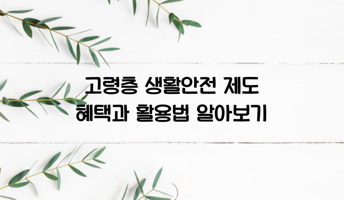 고령층 생활안전 제도