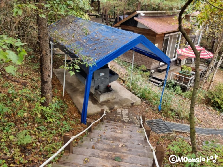 하늘그린캠프, 숲속의 15