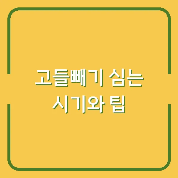 고들빼기 심는 시기와 팁