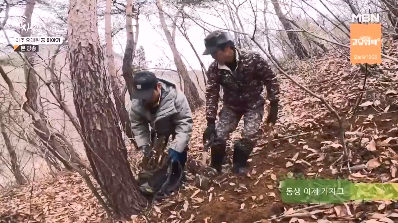 나는 자연인이다.E594.240222p-NEXT.mp4_20240222_195335.090.jpg