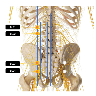 허리 주변 혈자리 요약