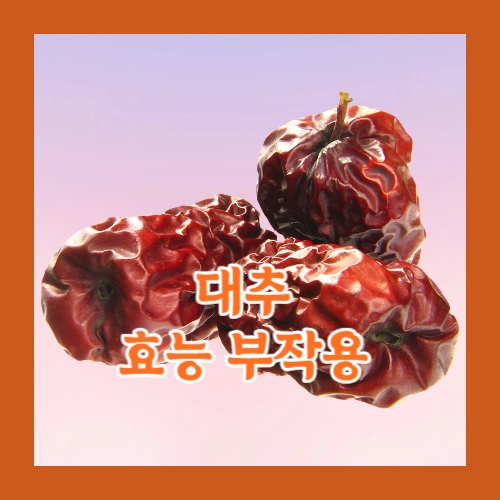 대추 효능 부작용