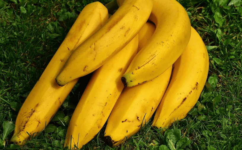 노란색 바나나