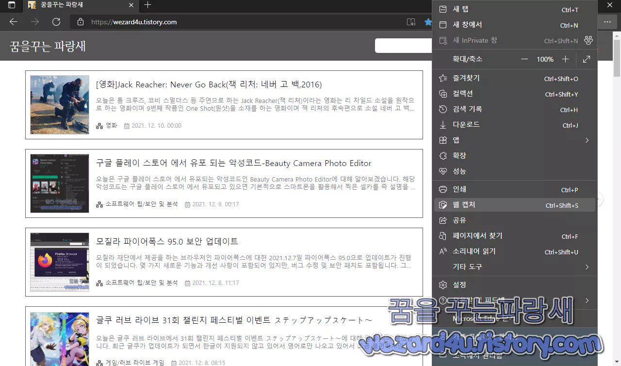 Microsoft Edge 웹 캡처