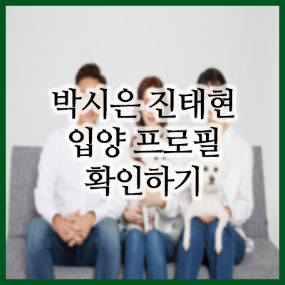  진태현 박시은 딸 입양 뒷이야기 및 근황
