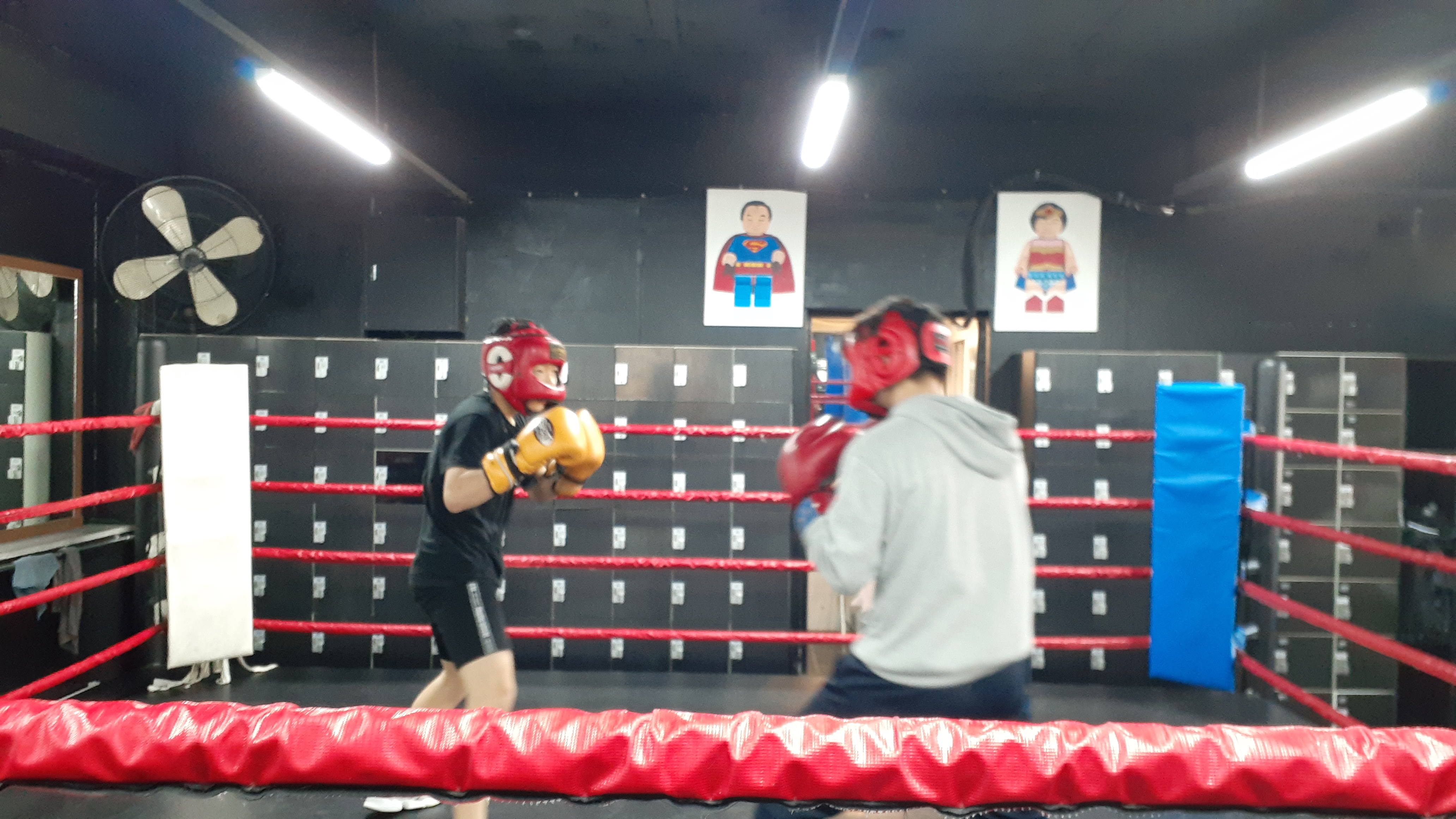 27. 3. 23. 양천구 복싱 대한복싱체육관 신정동 복싱 목동 복싱 신월동 복싱 경찰 무도 자격증 45