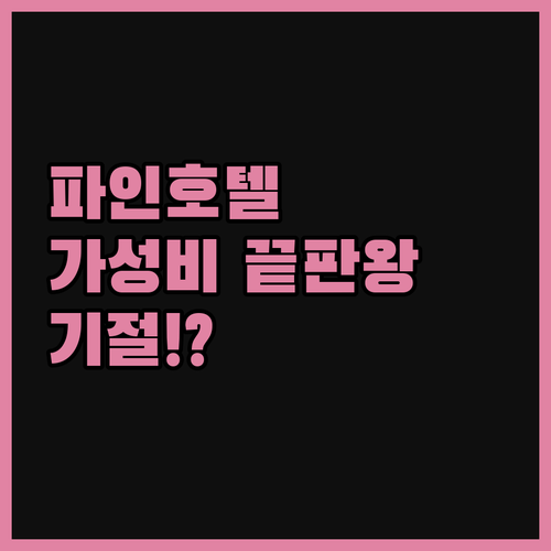 파인 사카이 호텔, 1박하고 기절! 