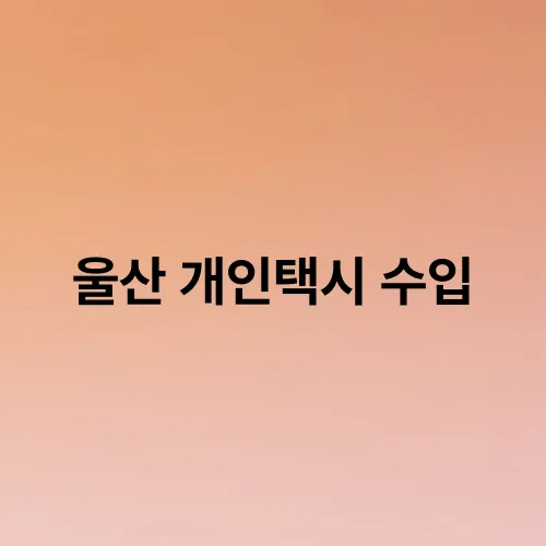 울산 개인택시 수입