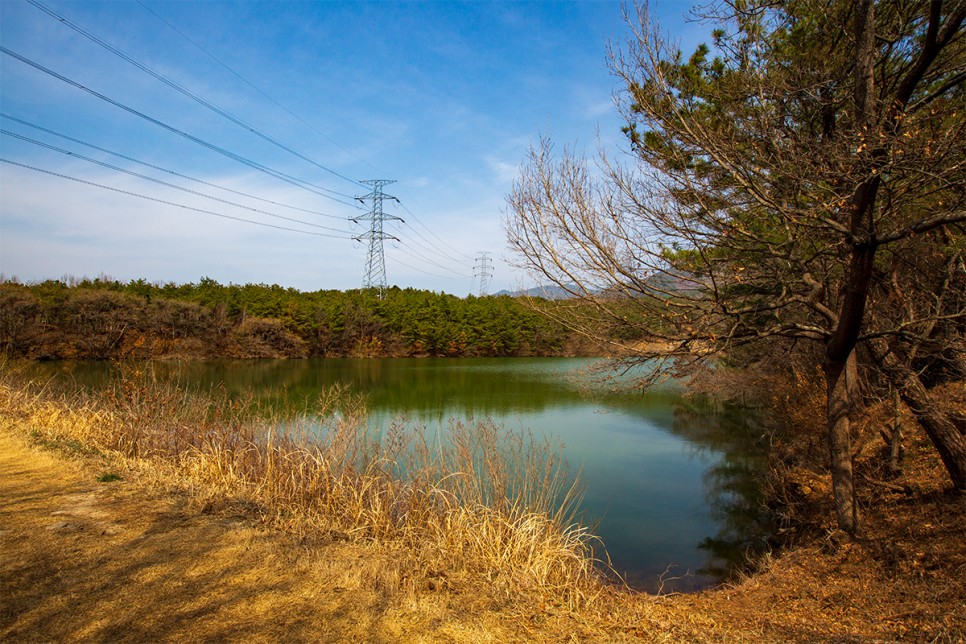 윤스테이 구례 구례 가볼만한곳 윤스테이 32