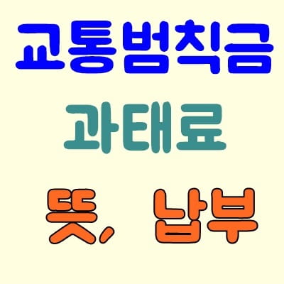 교통범칙금 과태료 뜻과 납부 방법