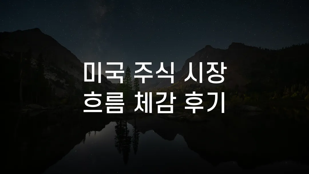 미국 주식 시장 흐름 체감 후기