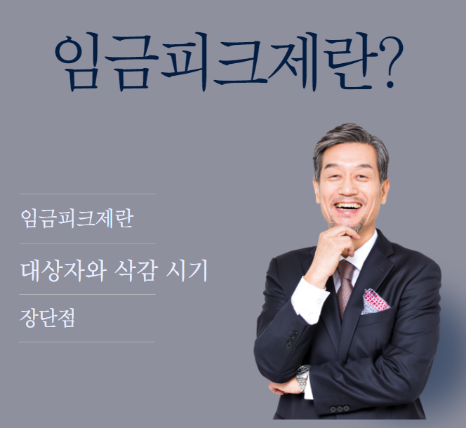  임금피크제란? 간단 명료하게 핵심만 알아가세요!