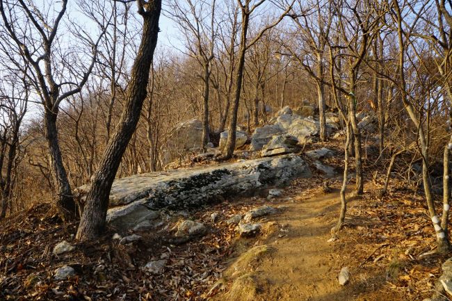 급경사 비탈길에 쏟아져 내린 듯한 바위들&#44; 뒤로는 우거진 잡목&#44;