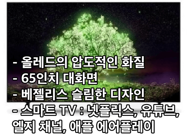 LG-올레드-65인치-TV