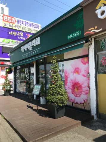 시나플라워 이미지