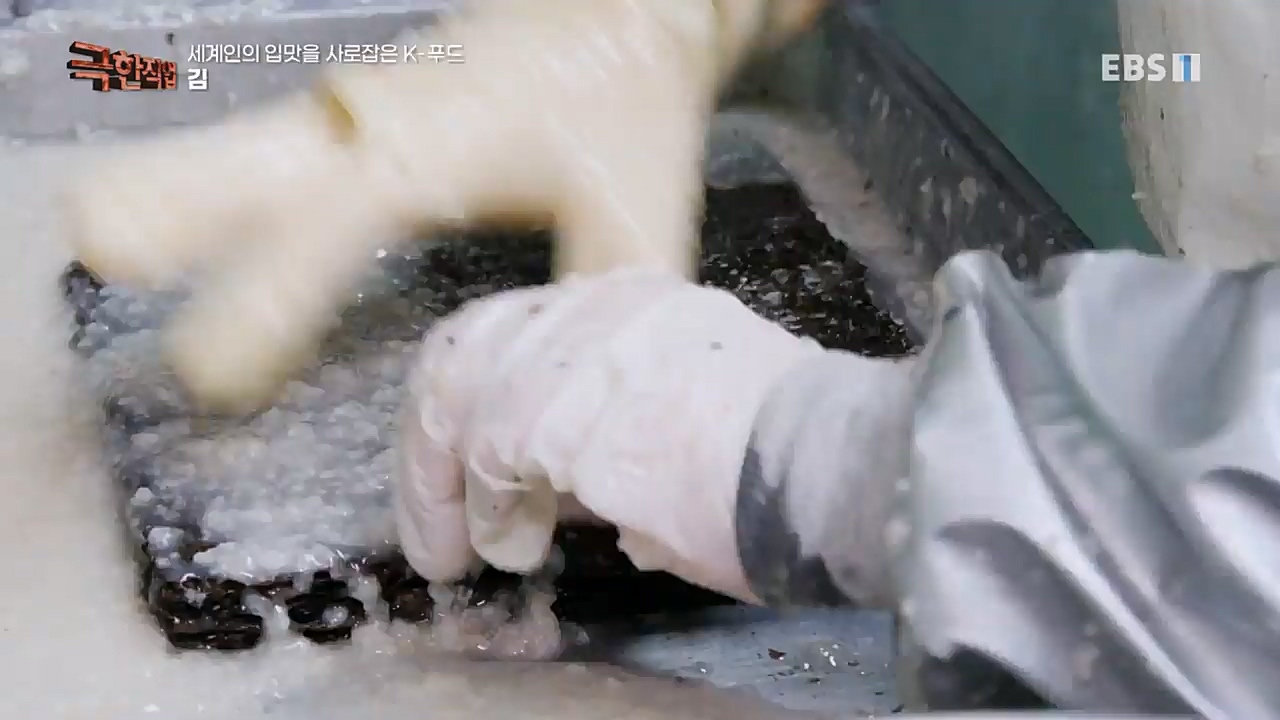 TV - 교육의 중심 EBS세계인의 입맛을 사로잡은 K-푸드.mp4_20230211_183518.867.jpg