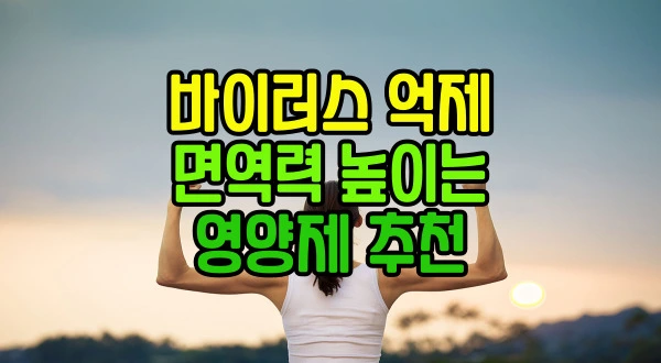 면역력 높이는 영양제 추천