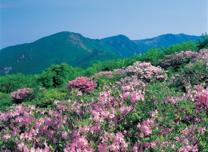 소백산 이미지