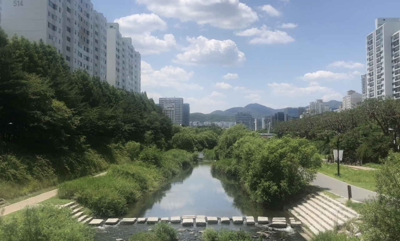  컴퓨터 공학생의 책상