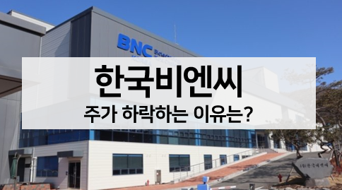  [주식 볼펜c️] 한국비엔씨 주가 하락하는 이유와 주가 전망 알아보기