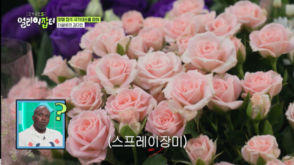 방송 보고 처음 안 화훼장식 국가대표 jpg | 인스티즈