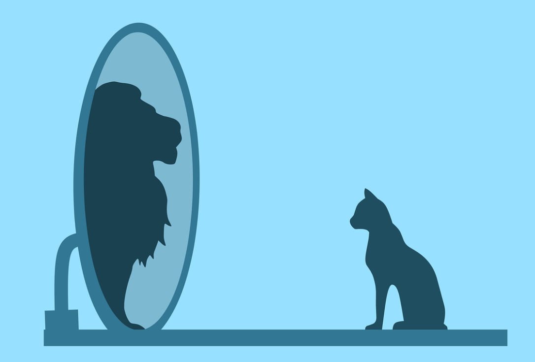 거울에-사자의-모습으로-비춰진-고양이-자화상의-왜곡을-표현한-상징적-이미지