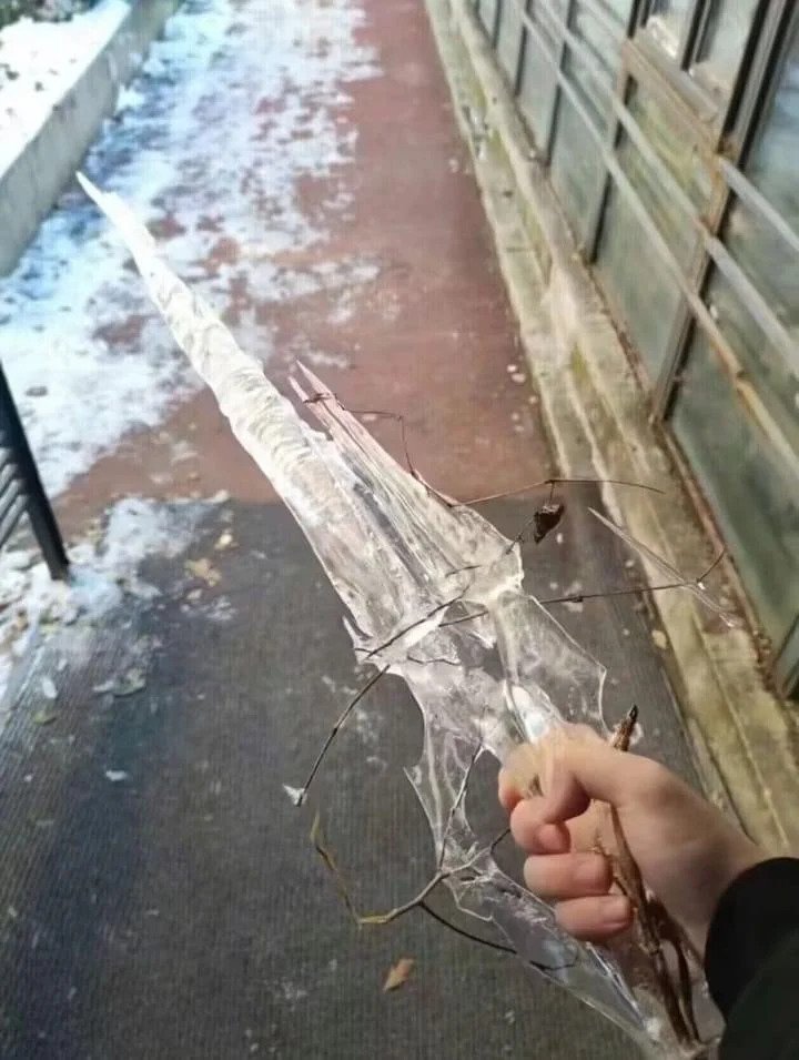 img.jpg