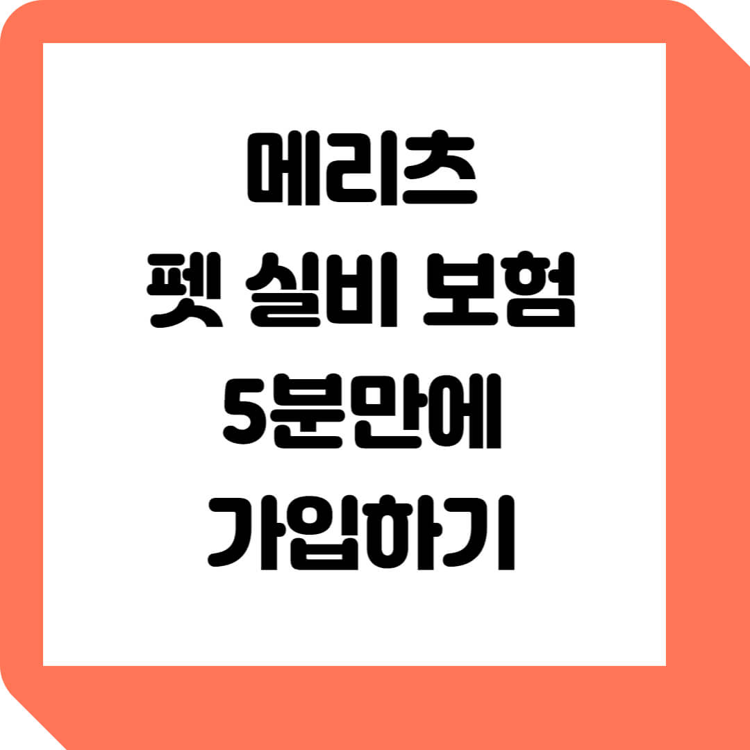  메리츠 펫 실비 보험 5분만에 가입하기