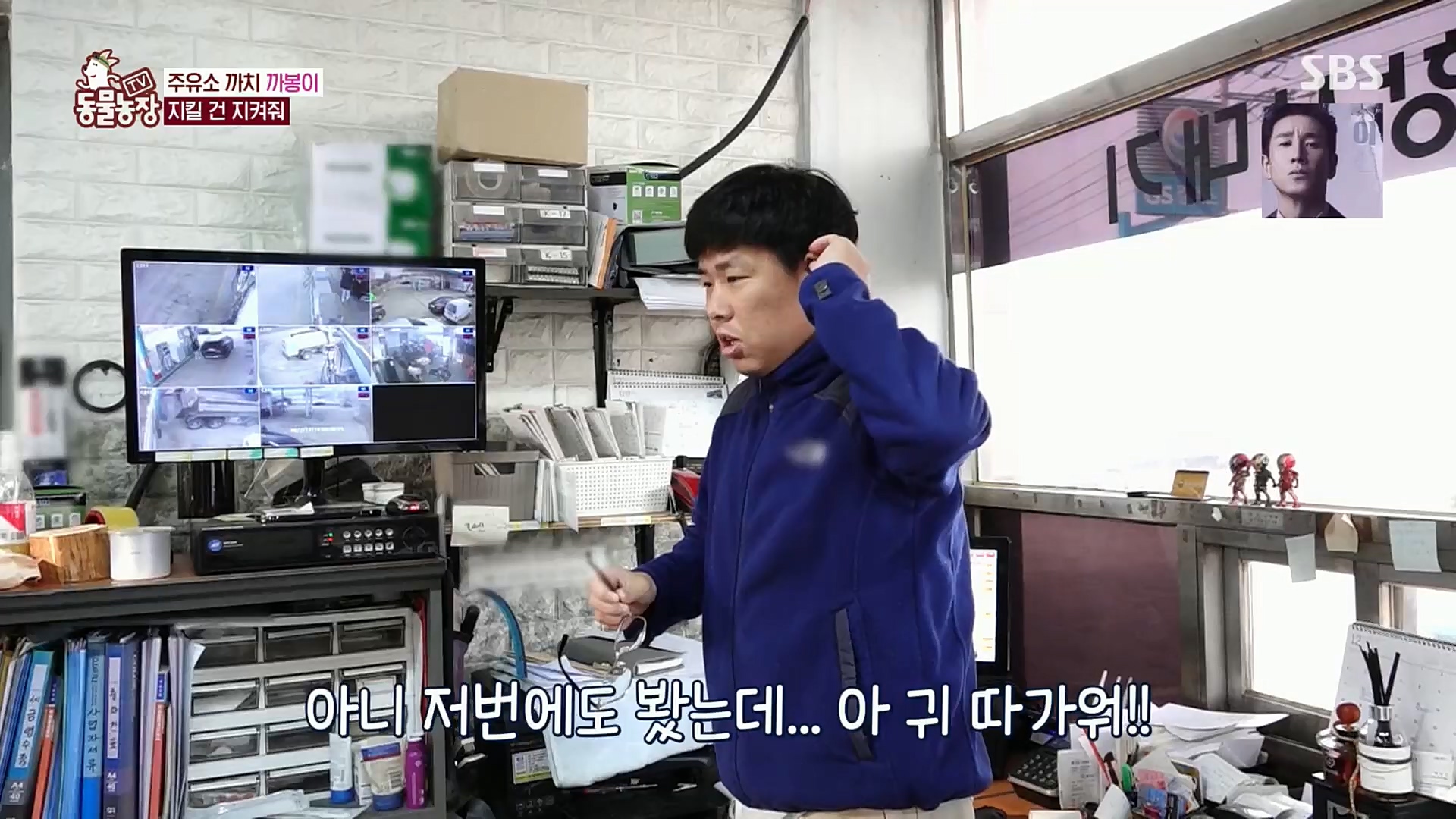 TV 동물농장.E1102.230101p.H264-F1RST.mp4_20230101_182836.306.jpg