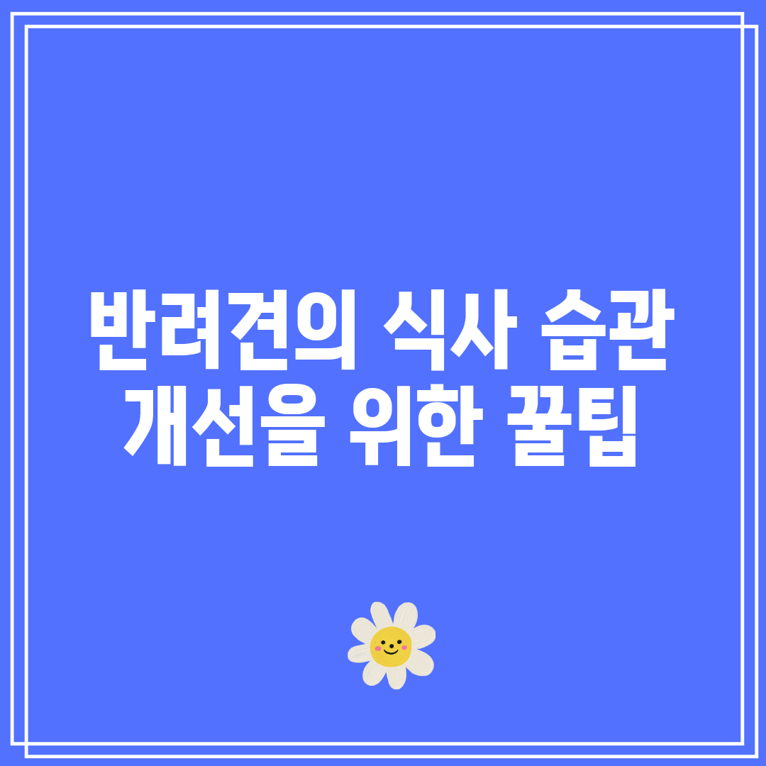 반려견의 식사 습관 개선을 위한 꿀팁