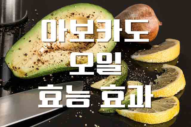 아보카도 오일 효능 정보